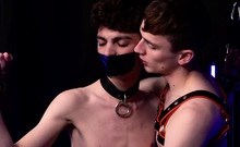 Bound Twinks Dom hottie Tyler Tanner breeds horny bound sub